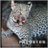 Predator