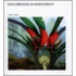 Natuurbehoud en biodiversiteit