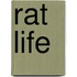 Rat Life