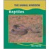 Reptiles