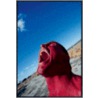 Showtime door Steve Gullick