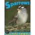 Sparrows