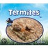 Termites