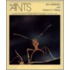 The Ants
