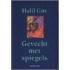Gevecht met spiegels