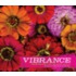 Vibrance