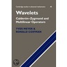 Wavelets by Yves Meyer