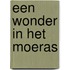 Een wonder in het moeras