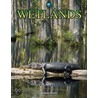 Wetlands by Richard Beatty