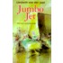 Jumbo Jet
