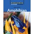 Amphibian