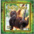 Baby Apes