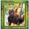 Baby Apes door Bobbie Kalman
