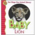 Baby Lion