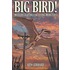 Big Bird!