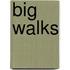 Big Walks