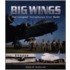 Big Wings