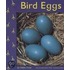 Bird Eggs