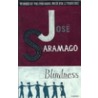 Blindness door José Saramago