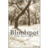 Blindspot