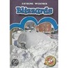 Blizzards door Kay Manolis
