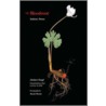 Bloodroot door Norbert Krapf
