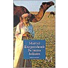 De laatste bedoeien door Marcel Kurpershoek