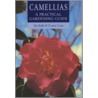 Camellias door Yvonne Cave