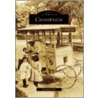 Champaign by Raymond Bial