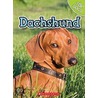 Dachshund door Linda George