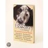 Dog Story