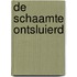 De schaamte ontsluierd