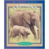 Elephants door Shelia Buff