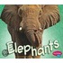 Elephants