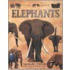 Elephants