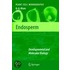 Endosperm