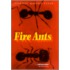 Fire Ants