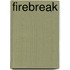 Firebreak