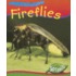 Fireflies