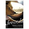 Fireworks door Elizabeth Winthrop