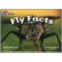 Fly Facts