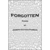 Forgotten door Granda-Padron Joseph
