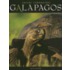 Galapagos