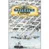Galveston door David G. McComb