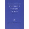 Spiegeling voorbij de weg door Hans van Pinxteren