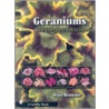 Geraniums by Faye Brawner