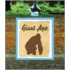 Giant Ape
