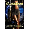 Glassidor door Lewis A. Walmsley