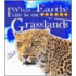 Grassland