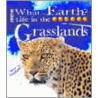 Grassland door Catherine Chambers